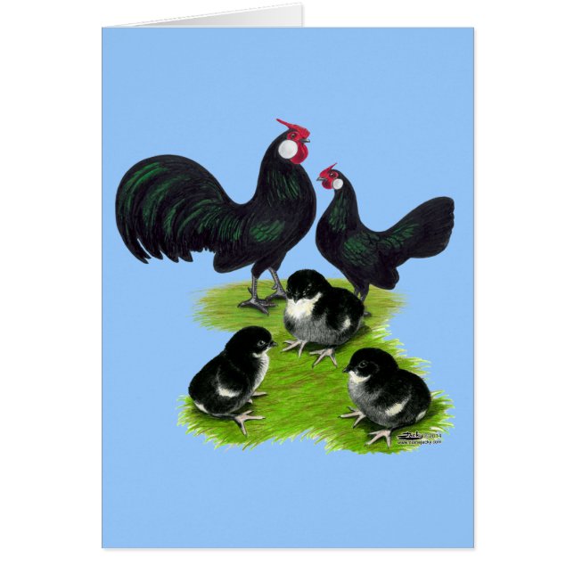 Rosecomb Black Bantam Family (Front)