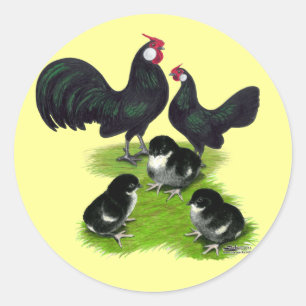 Rosecomb Black Bantam Family Classic Round Sticker