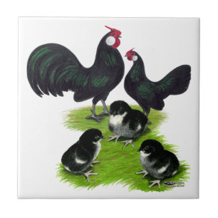 Rosecomb Black Bantam Family Tile