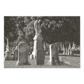 Rosehill III Photo Print