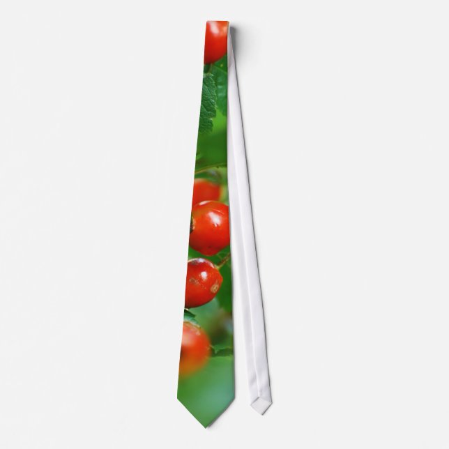 Rosehip bush after rain tie (Front)