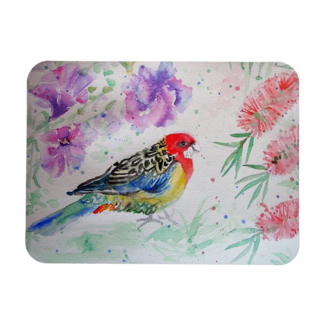 Rosella Parrot with Bottlebrush Bird Birthday Magnet (Horizontal)