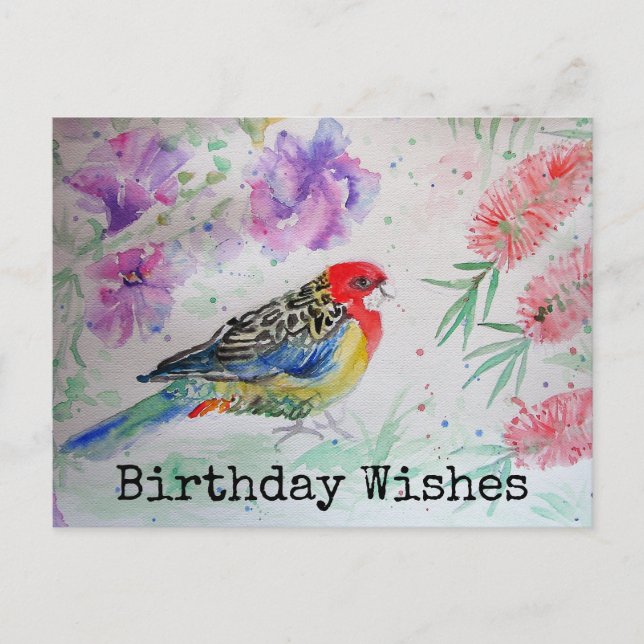 Rosella Parrot with Bottlebrush Birthday Postcard (Front)