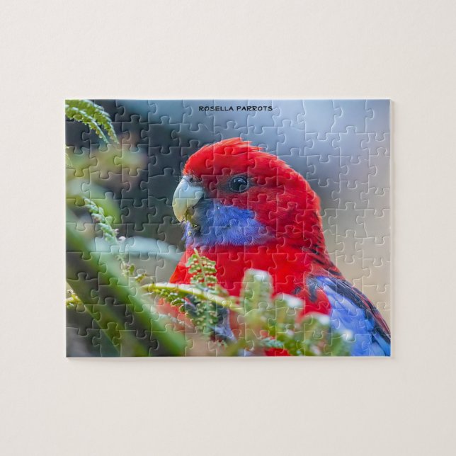 Rosella Parrots Australia Jigsaw Puzzle (Horizontal)