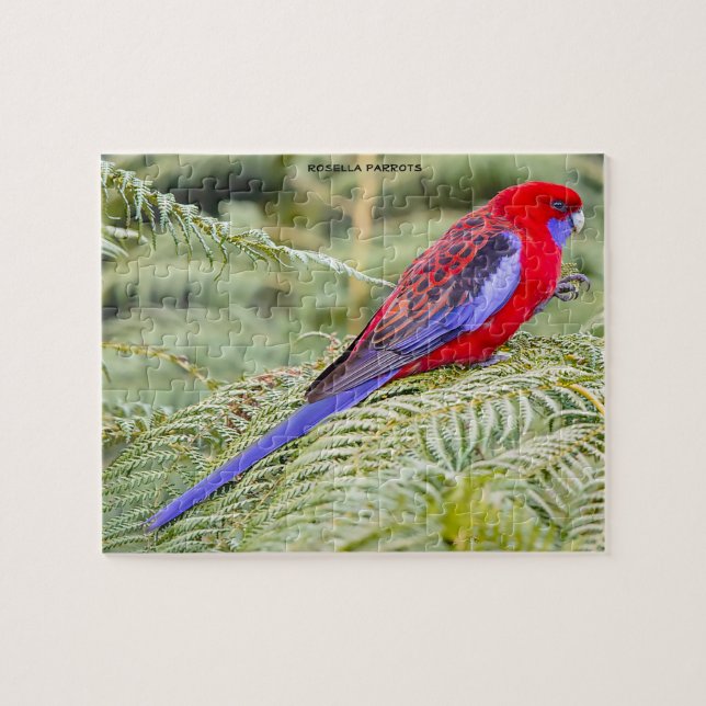 Rosella Parrots Australia Jigsaw Puzzle (Horizontal)