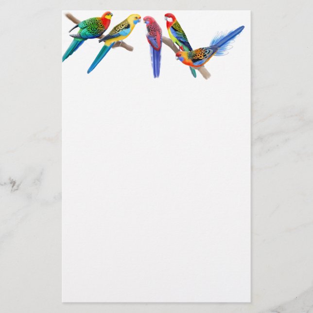 Rosella Parrots Stationery (Front)