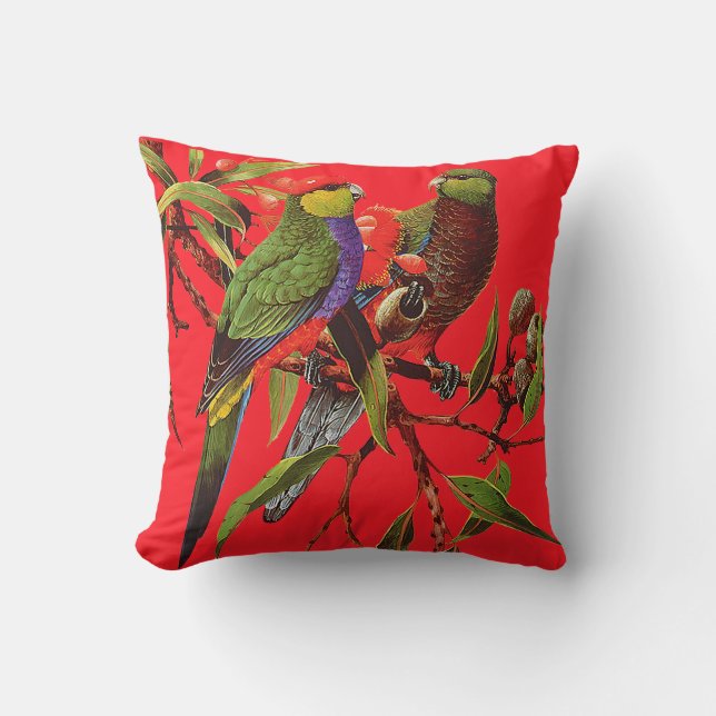 ROSELLAS ON RED Scatter Cushion (Front)