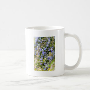 Rosemary blossom in spring macro coffee mug