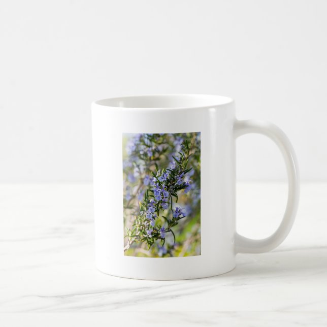 Rosemary blossom in spring macro coffee mug (Right)