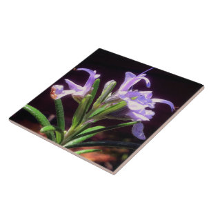 Rosemary Flowers Ceramic Tile