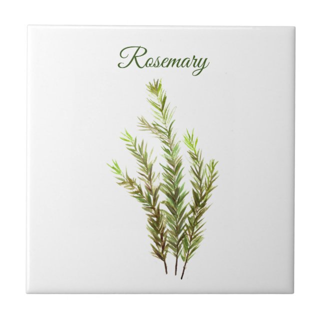 Rosemary Herb Greenery Kitchen Culinary Green chic Ceramic Tile (Front)
