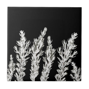 Rosemary Herb Leaves Branch Black White Ceramic Tile