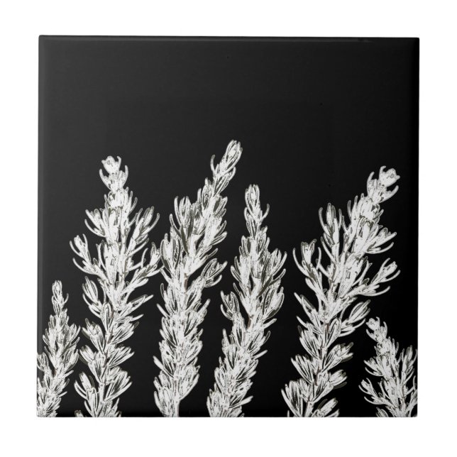 Rosemary Herb Leaves Branch Black White Ceramic Tile (Front)