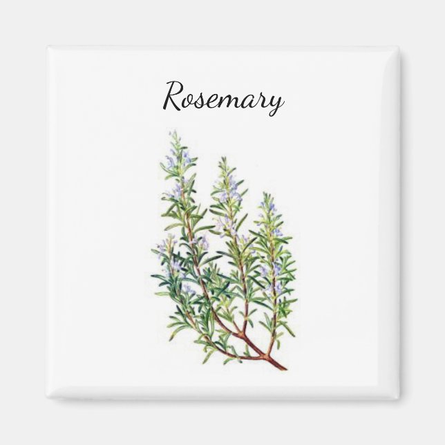 Rosemary Herb Magnet (Front)