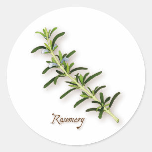 Rosemary Herb Round Stickers