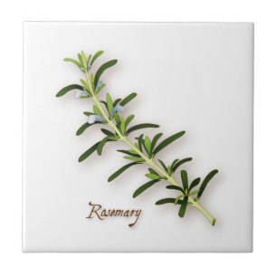 Rosemary Herb Tile