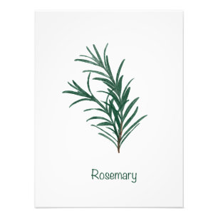 Rosemary Kitchen Wall Art