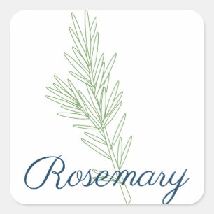 Rosemary Plant Square Sticker