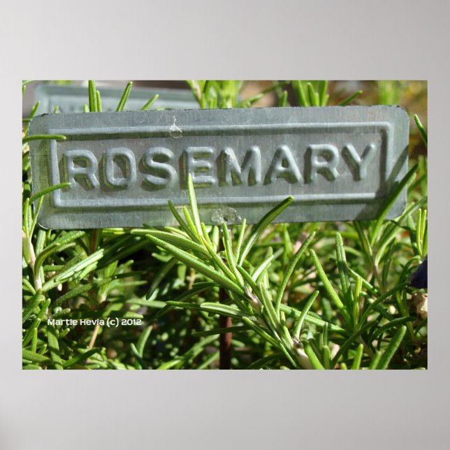 Rosemary Poster (Front)