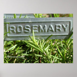 Rosemary Poster