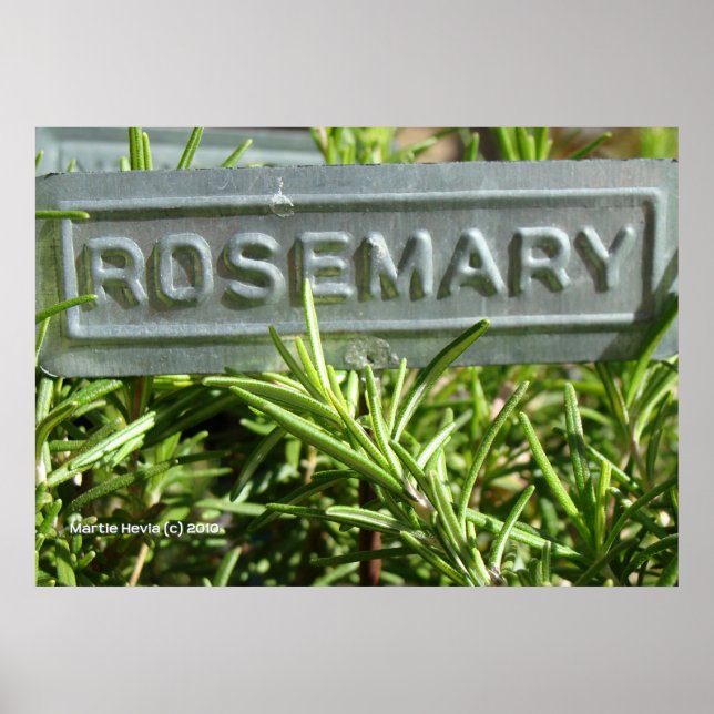 Rosemary Poster (Front)