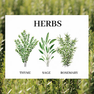 Rosemary Thyme Sage Herbs Culinary Kitchen Chef Poster