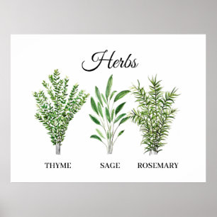 Rosemary Thyme Sage Herbs Culinary Kitchen Chef Poster