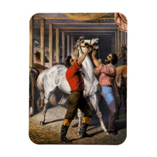 Rosenberg's Great East India Horse Invigorator. Magnet