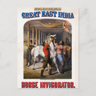 Rosenberg's Great East India Horse Invigorator. Postcard