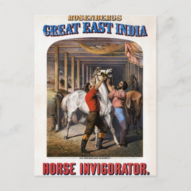 Rosenberg's Great East India Horse Invigorator. Postcard (Front)