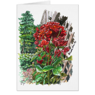 Roses