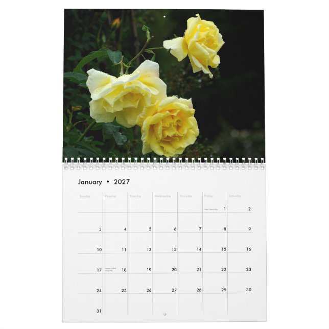 ROSES 2013 Wall Callendar Calendar (Jan 2027)