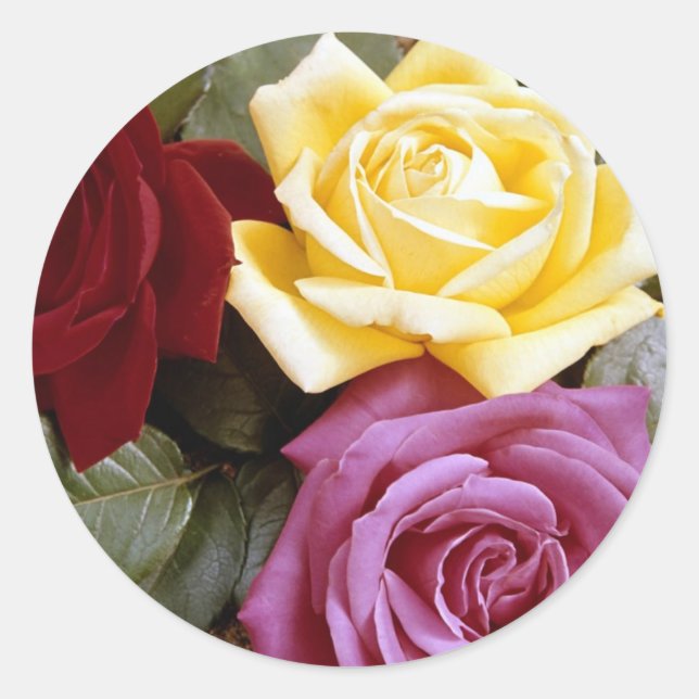 Roses 289B Classic Round Sticker (Front)