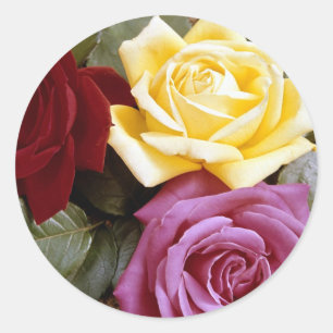 Roses 289B Classic Round Sticker