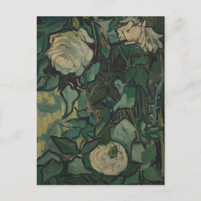 Roses and Beetle by Vincent Van Gogh Postcard (Front)