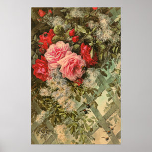 Roses and Clematis on a Trellis Poster