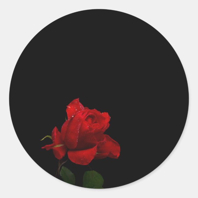 Roses Are Red Classic Round Sticker (Front)