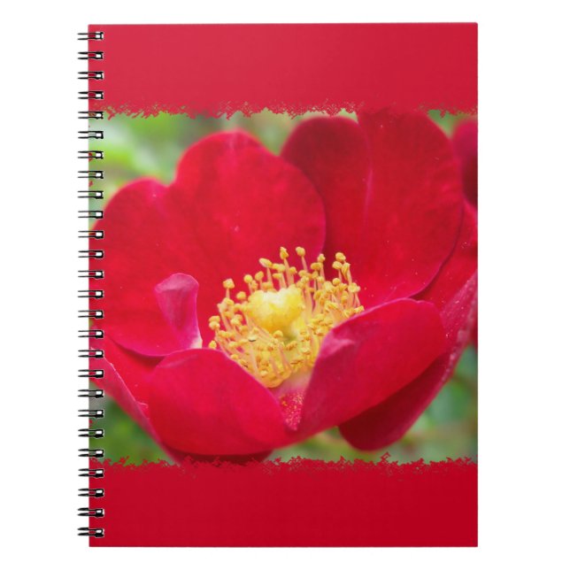 Roses Are Red Notebook (Front)