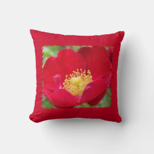 Roses Are Red Pillow