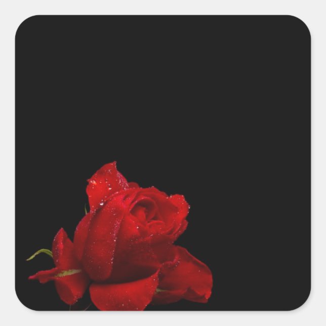 Roses Are Red Square Sticker (Front)
