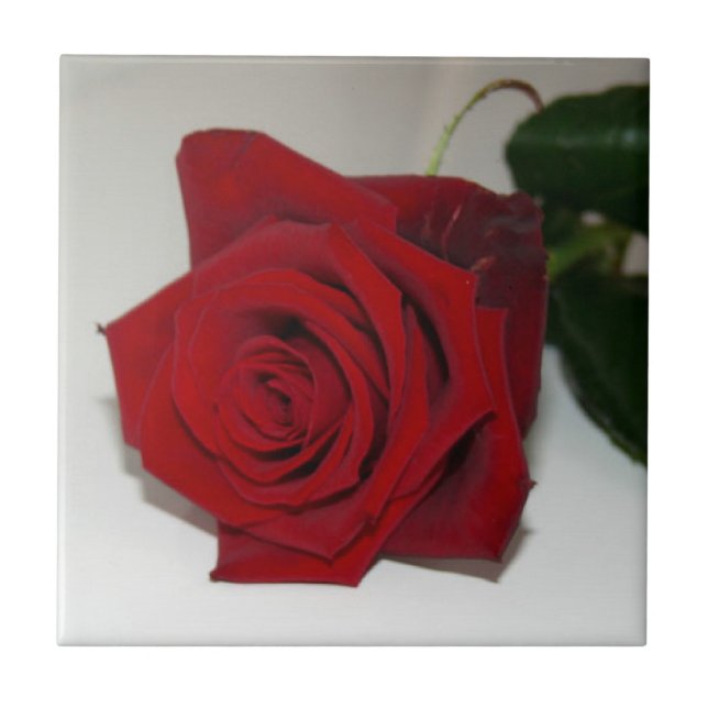 Roses Are Red Tile (Front)