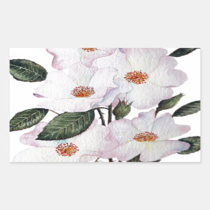 Roses 'Ballerina' Floral Art Rectangular Sticker