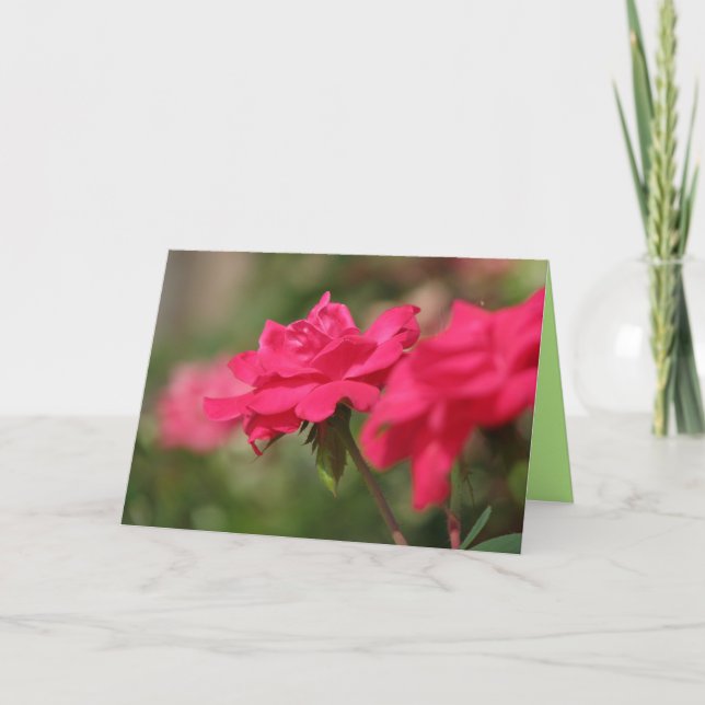 Roses Card (Front)