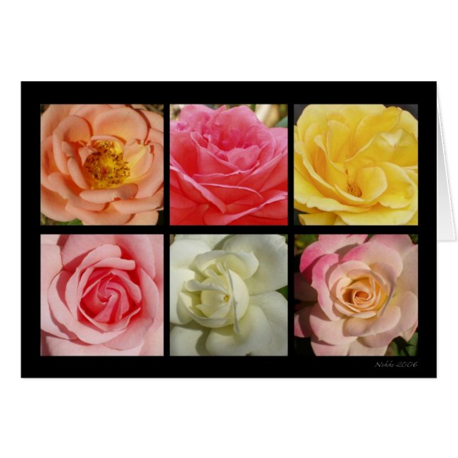 Roses Card (Front Horizontal)