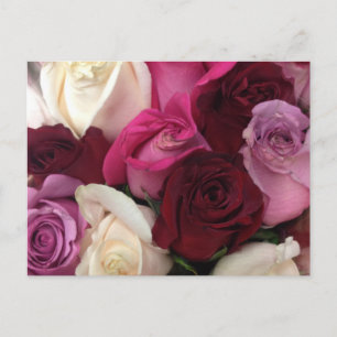 Roses Floral Postcard
