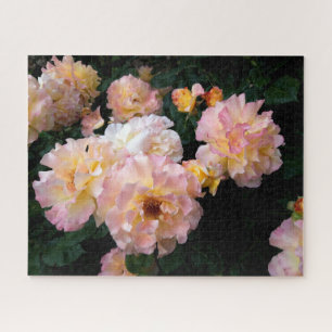 Roses Flowers , Pink Yellow Roses Jigsaw Puzzle