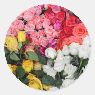 Roses for sale, San Miguel de Allende, Mexico Classic Round Sticker