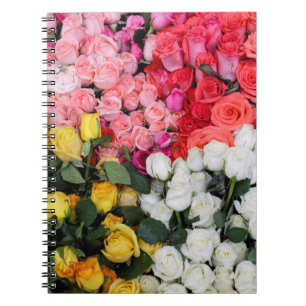 Roses for sale, San Miguel de Allende, Mexico Notebook