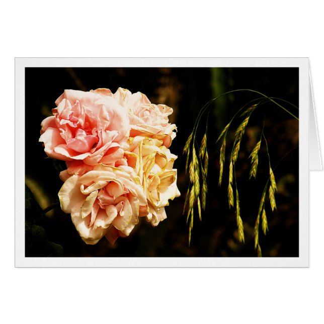 Roses for You (Front Horizontal)