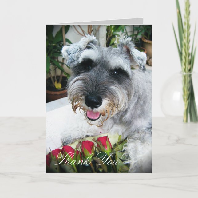 Roses For You - Thank You Card (Front)